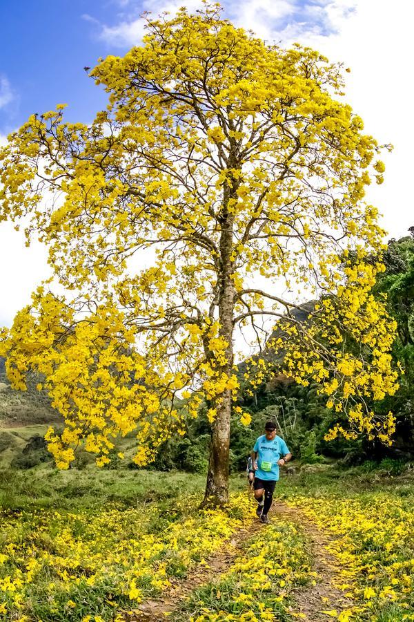 Buy your photos of the eventEvolution on Fotop