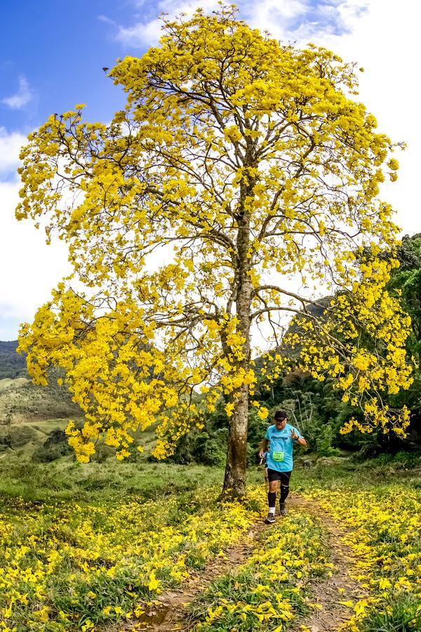 Buy your photos of the eventEvolution on Fotop