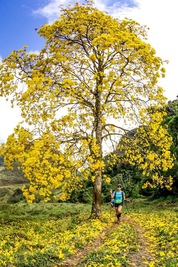 Buy your photos of the eventEvolution on Fotop