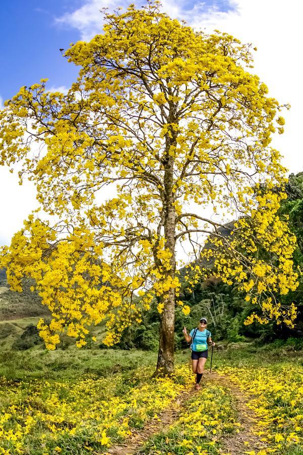 Buy your photos of the eventEvolution on Fotop