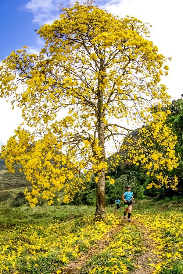 Buy your photos of the eventEvolution on Fotop