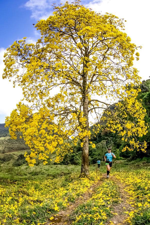 Buy your photos of the eventEvolution on Fotop