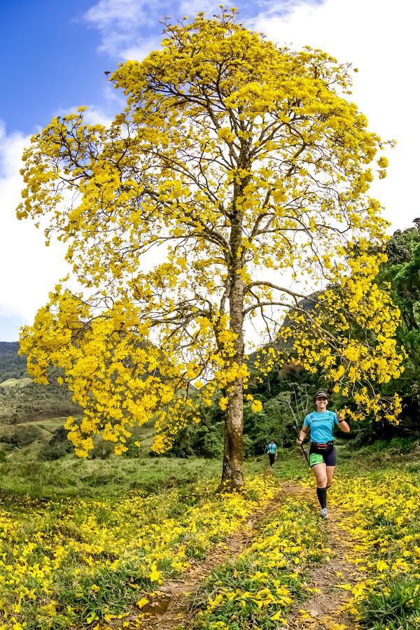 Buy your photos of the eventEvolution on Fotop