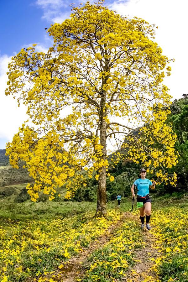 Buy your photos of the eventEvolution on Fotop