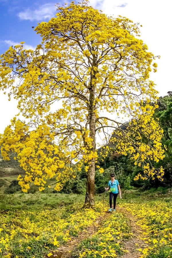 Buy your photos of the eventEvolution on Fotop