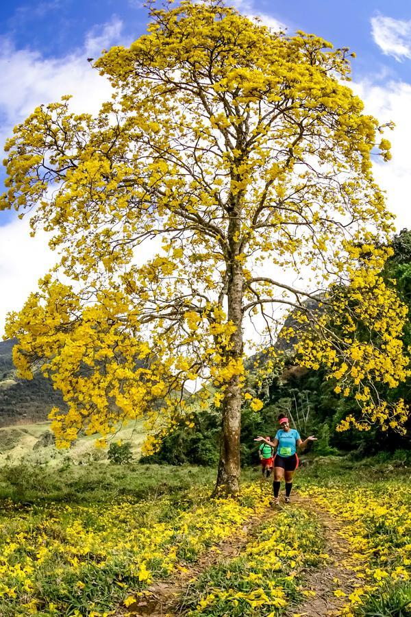 Buy your photos of the eventEvolution on Fotop