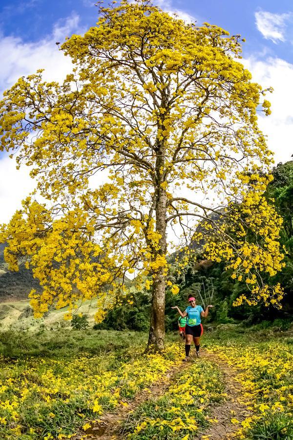 Buy your photos of the eventEvolution on Fotop