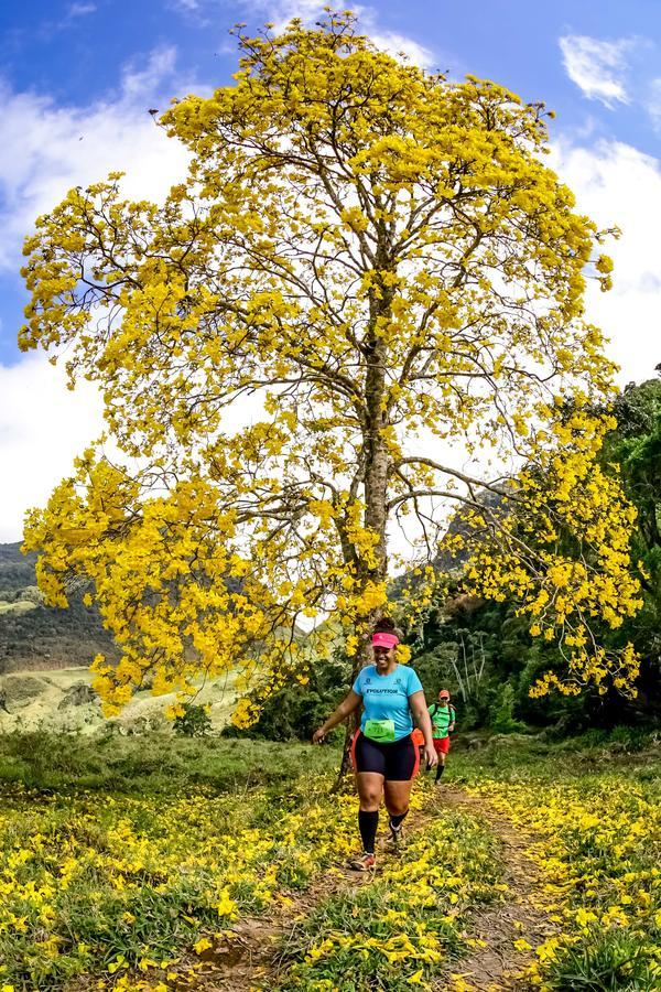 Buy your photos of the eventEvolution on Fotop