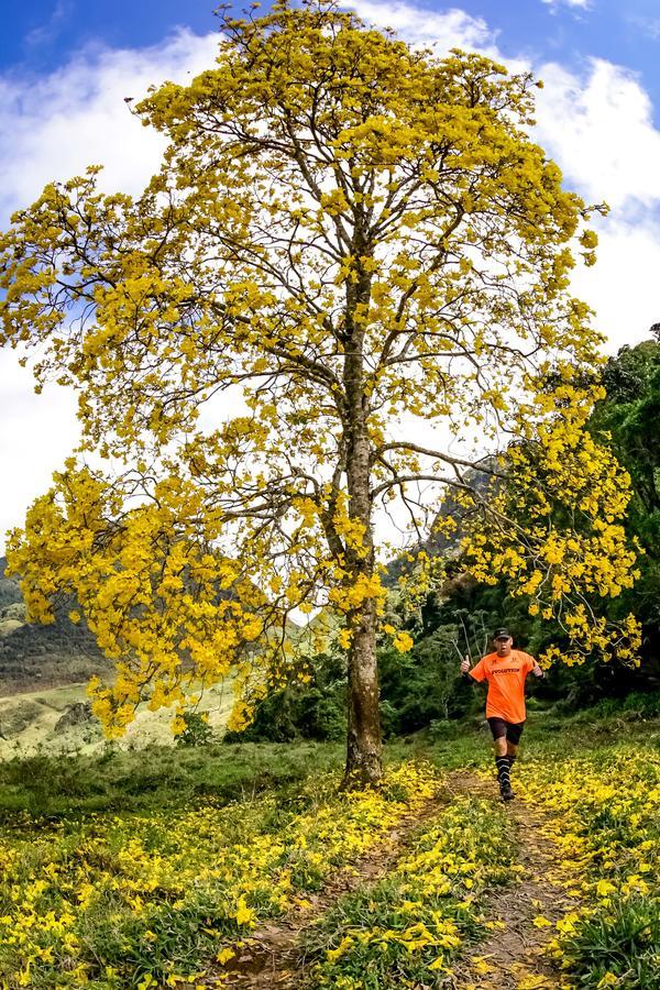 Buy your photos of the eventEvolution on Fotop