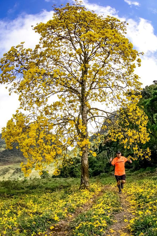 Buy your photos of the eventEvolution on Fotop