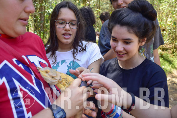 Buy your photos of the eventNR Sun - Resort Sapuca Mirim 02 a 06/10/19 on Fotop
