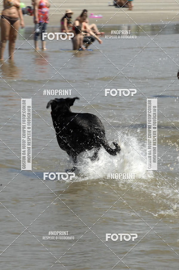 Buy your photos of the eventBLUE SERIES TRIATHLON BERTIOGA 2019 on Fotop