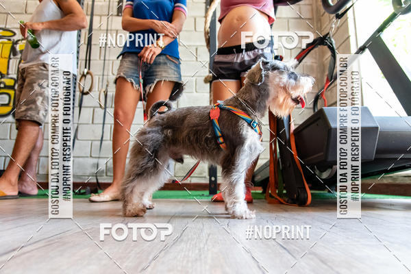 Buy your photos of the event1 Torneio Feminino Crossfit - SSA Rosa on Fotop