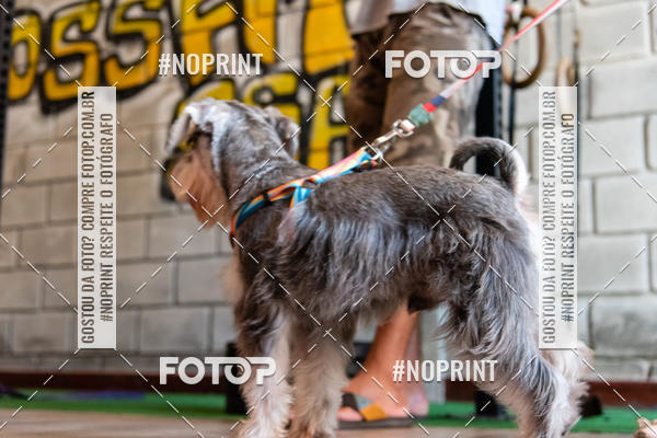 Buy your photos of the event1 Torneio Feminino Crossfit - SSA Rosa on Fotop