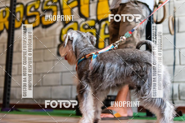 Buy your photos of the event1 Torneio Feminino Crossfit - SSA Rosa on Fotop