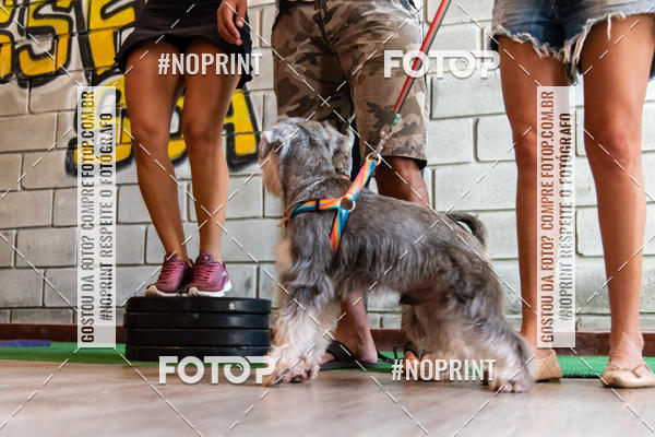 Buy your photos of the event1 Torneio Feminino Crossfit - SSA Rosa on Fotop