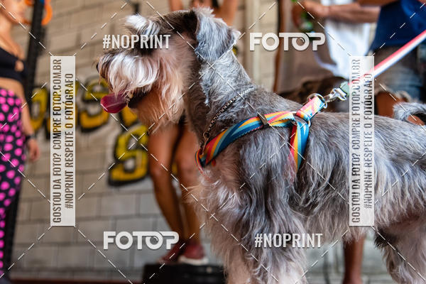 Buy your photos of the event1 Torneio Feminino Crossfit - SSA Rosa on Fotop