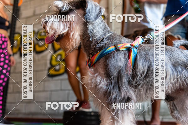 Buy your photos of the event1 Torneio Feminino Crossfit - SSA Rosa on Fotop