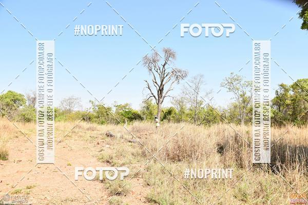 Buy your photos of the eventWOS Festival  on Fotop