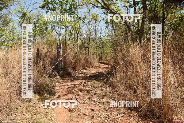 Buy your photos of the eventWOS Festival  on Fotop