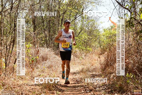 Buy your photos of the eventWOS Festival  on Fotop