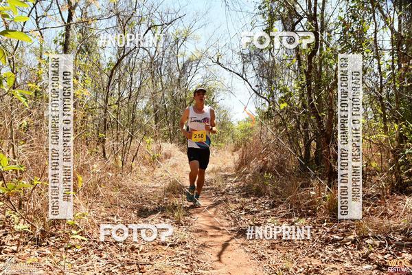 Buy your photos of the eventWOS Festival  on Fotop