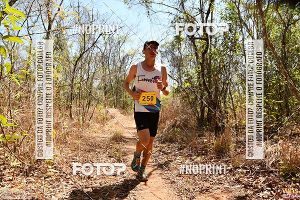 Buy your photos of the eventWOS Festival  on Fotop