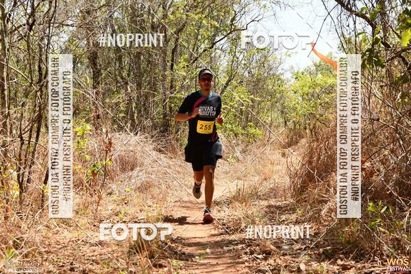 Buy your photos of the eventWOS Festival  on Fotop