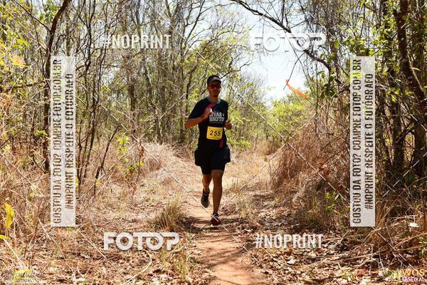 Buy your photos of the eventWOS Festival  on Fotop