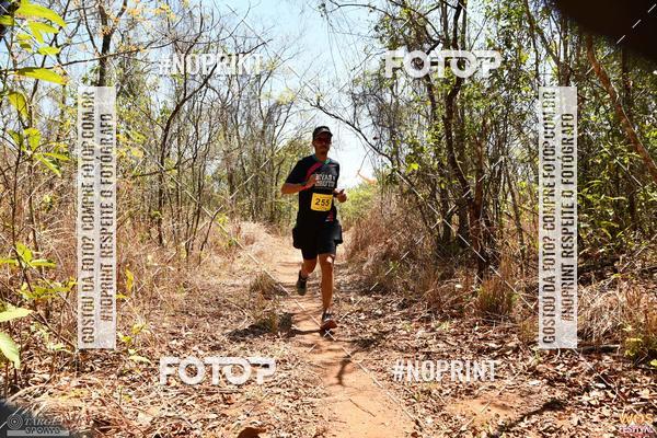 Buy your photos of the eventWOS Festival  on Fotop