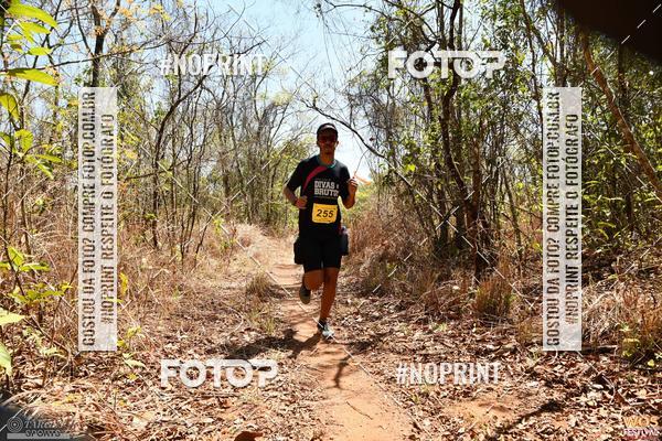 Buy your photos of the eventWOS Festival  on Fotop