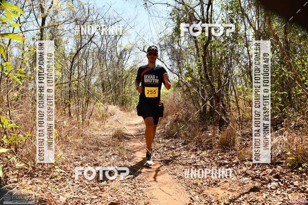 Buy your photos of the eventWOS Festival  on Fotop