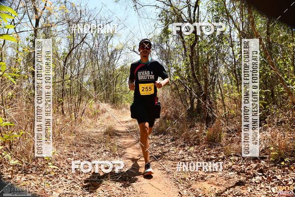 Buy your photos of the eventWOS Festival  on Fotop