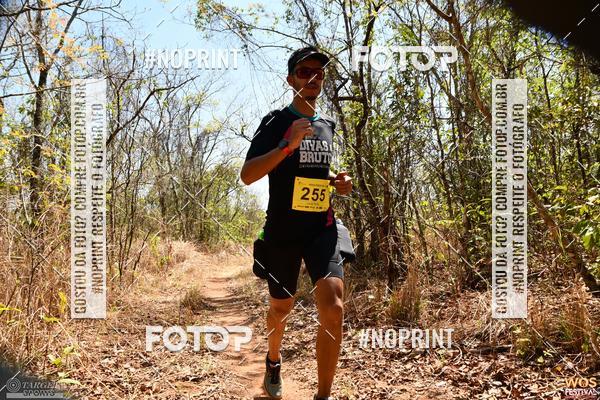 Buy your photos of the eventWOS Festival  on Fotop