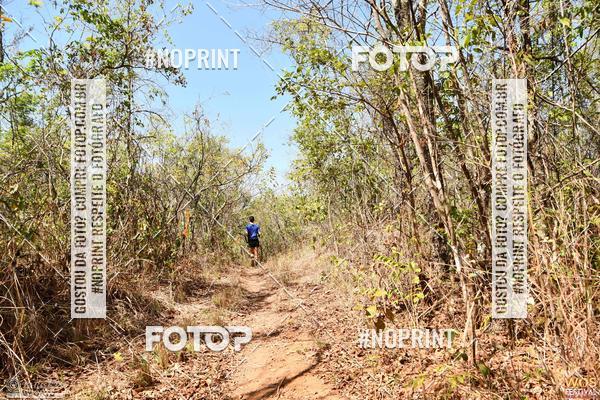 Buy your photos of the eventWOS Festival  on Fotop