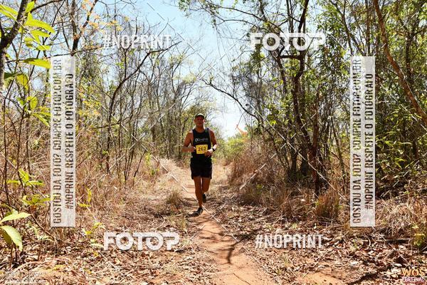 Buy your photos of the eventWOS Festival  on Fotop