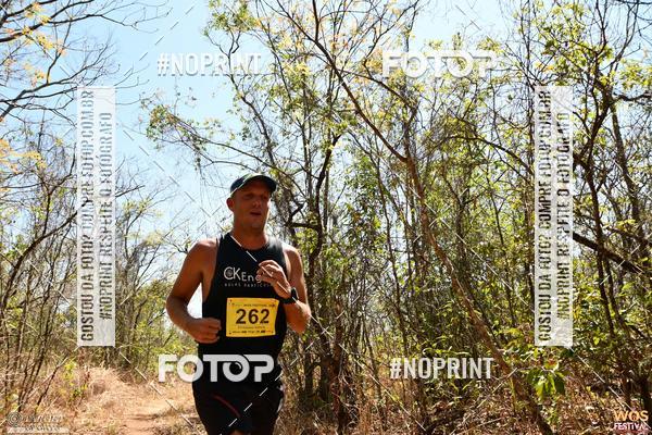 Buy your photos of the eventWOS Festival  on Fotop