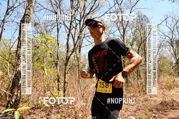 Buy your photos of the eventWOS Festival  on Fotop