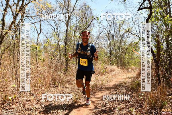 Buy your photos of the eventWOS Festival  on Fotop