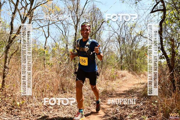 Buy your photos of the eventWOS Festival  on Fotop