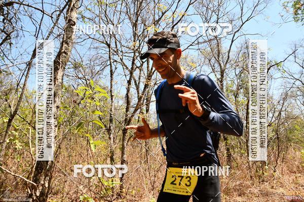 Buy your photos of the eventWOS Festival  on Fotop