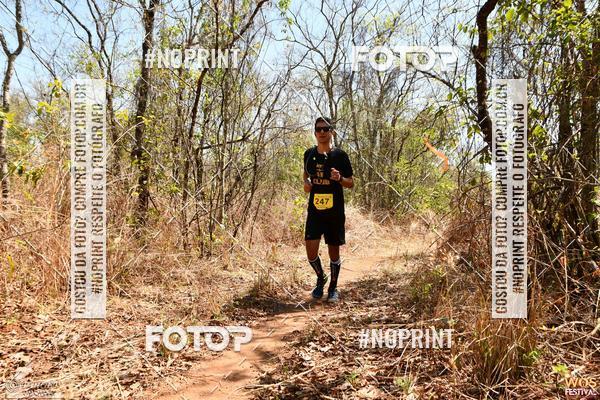 Buy your photos of the eventWOS Festival  on Fotop