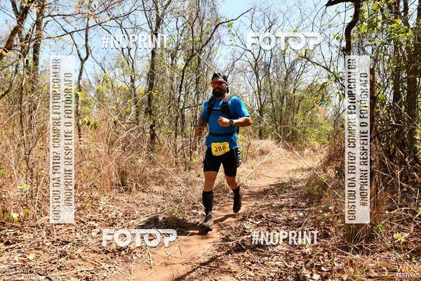 Buy your photos of the eventWOS Festival  on Fotop