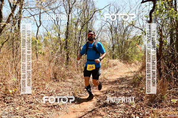 Buy your photos of the eventWOS Festival  on Fotop