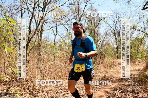 Buy your photos of the eventWOS Festival  on Fotop