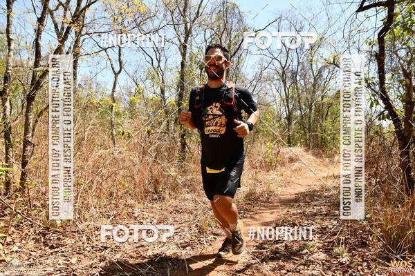 Buy your photos of the eventWOS Festival  on Fotop