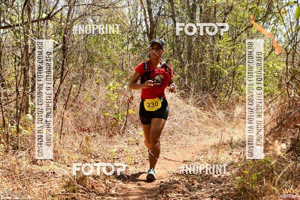 Buy your photos of the eventWOS Festival  on Fotop