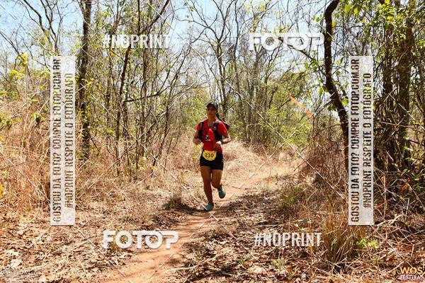 Buy your photos of the eventWOS Festival  on Fotop