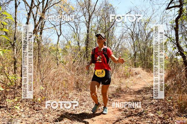 Buy your photos of the eventWOS Festival  on Fotop