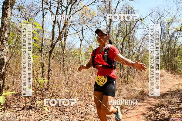 Buy your photos of the eventWOS Festival  on Fotop